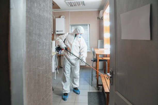 Best Water Damage & Mold Remediation  in Whitefish Bay, WI